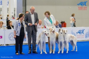 IMG 4673           